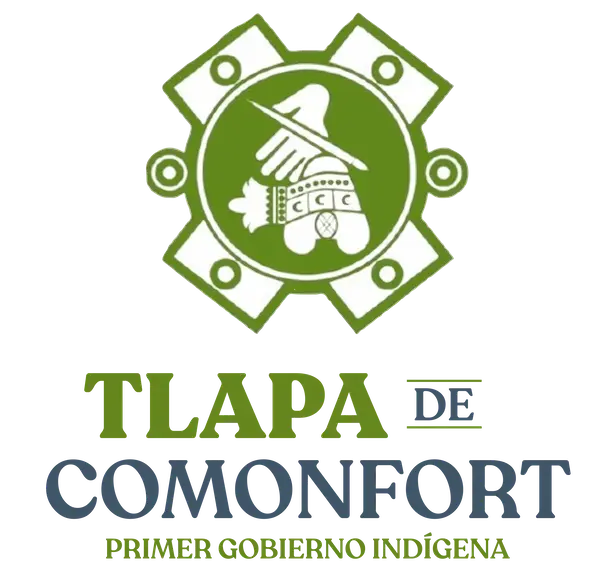 Tlapa de Comonfort